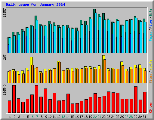 Daily usage for January 2024