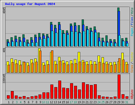 Daily usage for August 2024