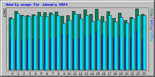 Hourly usage for January 2024