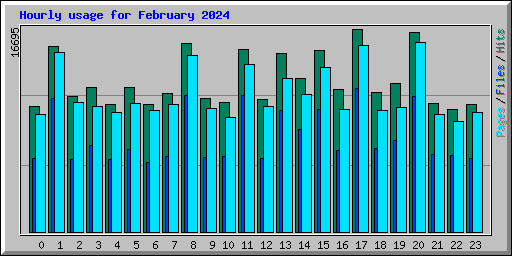 Hourly usage for February 2024