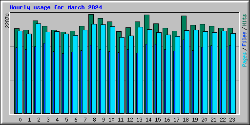 Hourly usage for March 2024