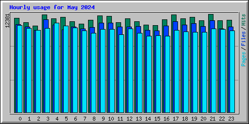 Hourly usage for May 2024