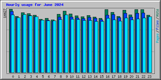 Hourly usage for June 2024