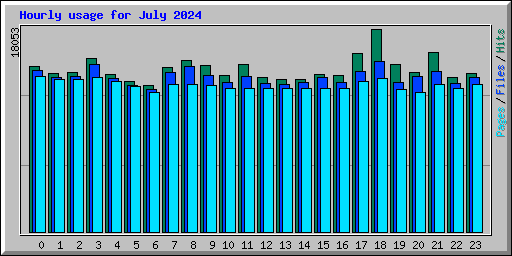 Hourly usage for July 2024