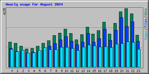 Hourly usage for August 2024